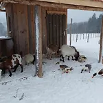Jaegersteig Waldmünchen