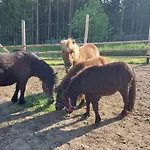 Jaegersteig * Waldmünchen