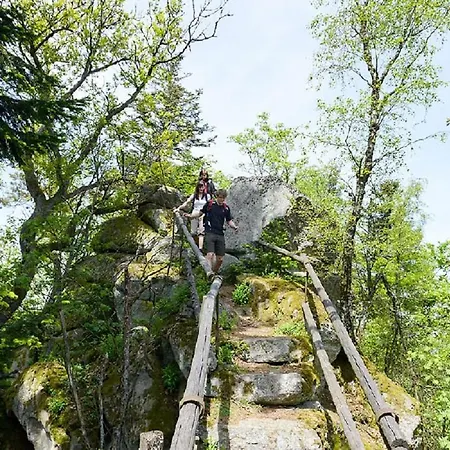 Jaegersteig شقة Waldmünchen
